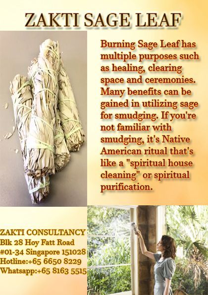 Burning Sage Leaf has multiple purpose such as hgealing , clearing the space and the ceremonies. Many of the benefits can be gained in utilizing sage for smudging. If you're not familiar with the smudging, it;s Native American ritual that's like a "spiritual house cleansing"or spiritual purification House Cleansing Ritual, Benefits Of Burning Sage, Native American Rituals, Spiritual House, Spiritual Purification, Smudge Bundles, Soul Cleansing, Spiritual Items, House Cleansing