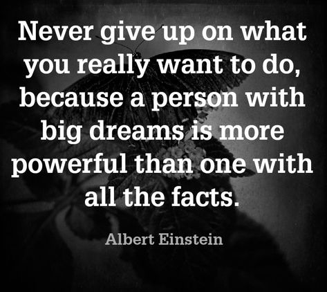 Famous Philosophy Quotes, Philosophy Quotes, Quotable Quotes, Albert Einstein, Giving Up, Never Give Up, Dream Big, You Really, Einstein