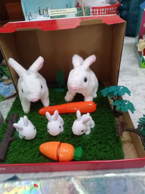 Diorama rabbit by warda Habitat Diorama, Working With Children, Habitat, Planter Pots, Science, Drawings