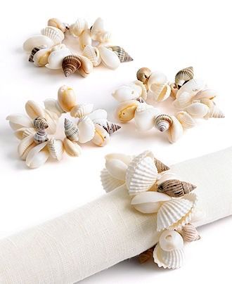 Seashell display