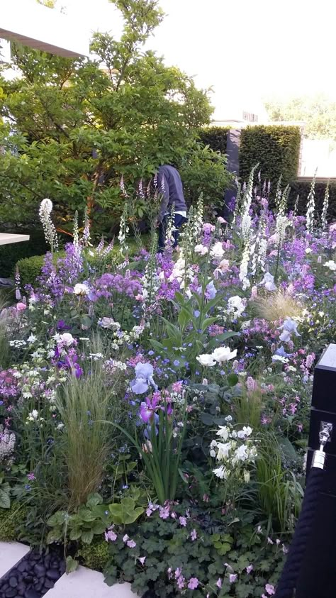 Purple And White Garden Border, Foxglove Cottage Garden, White And Purple Garden Ideas, Blue Purple Garden, White Purple Garden, Floral Front Yard, White And Purple Flowers Garden, Blue Cottage Garden, Purple Cottage Garden