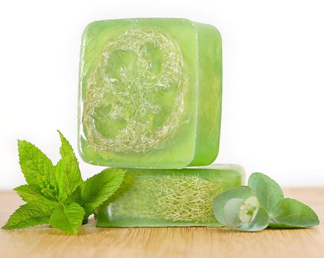 Men's Eucalyptus Peppermint Soap, Handmade Soap,Glycerin Soap, Mint Soap, Eucalyptus Soap, Bar Soap, Loofah Soap, All Natural Soap Soap With Loofah, Soap Loofah, Eucalyptus Soap, Mint Soap, Peppermint Soap, Vanilla Soap, Coconut Soap, Green Soap, Loofah Soap