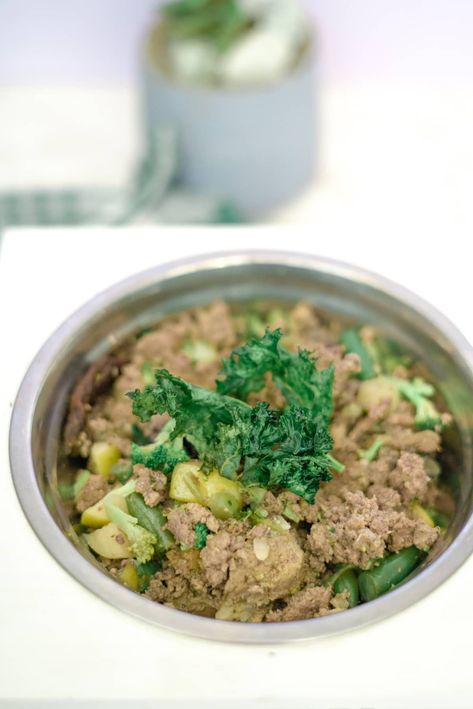 This homemade ground turkey dog food recipe is a grain-free dish your pup will love. Ground Turkey Dog Food, Turkey Dog Food, Ground Turkey Recipe, Dog Food Recipe, Chicken Gizzards, Turkey Dogs, Healthy Grains, Raw Dog Food Recipes, Turkey Recipe