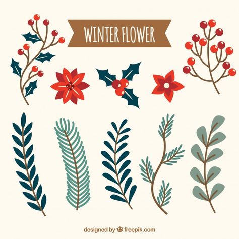 Collection of winter flower Free Vector | Premium Vector #Freepik #vector #flower #vintage #floral #winter Winter Flower Drawing, Christmas Floral Drawings, Winter Flower Painting, Christmas Flower Illustration, Christmas Card Graphic Design, Christmas Card Graphic, Christmas Card Design Ideas, Holiday Floral Illustration, Winter Florals Illustration