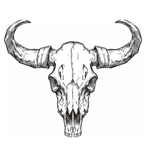 Bull Tattoo Chest, Bull Skull Tattoo Chest, Skull Tattoo Chest, Bull Skull Tattoo, Bull Skull Tattoos, Tattoo Chest, Bull Tattoos, Bull Skull, Bull Skulls