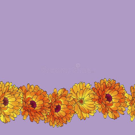 Botanical Medicine, Flower Banner, Banner Discord, Vector Border, Orange Flower, Purple Backgrounds, Orange Flowers, Stock Vector, Pattern Design