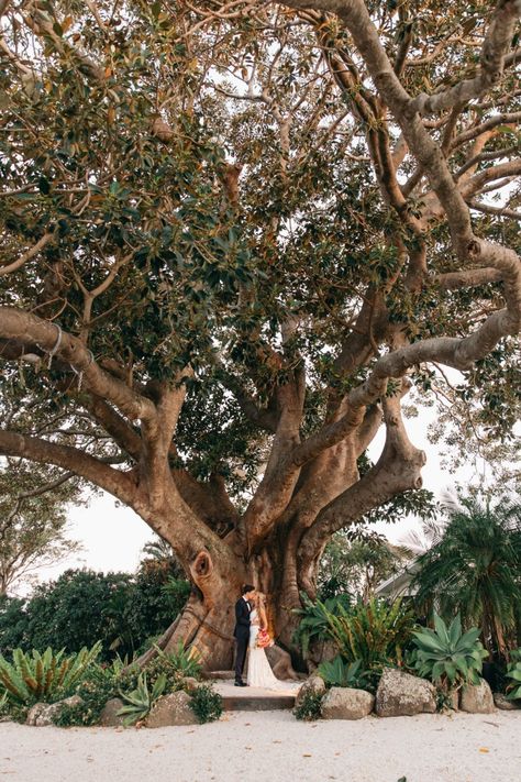 Clare & Jordan's Blush & Apricot Garden Wedding At Fig Tree Restaurant - Polka Dot Wedding Tree Restaurant, Byron Bay Weddings, World Globes, Polka Dot Wedding, Restaurant Wedding, Bay Wedding, Bride Photo, White Lilies, Tree Wedding