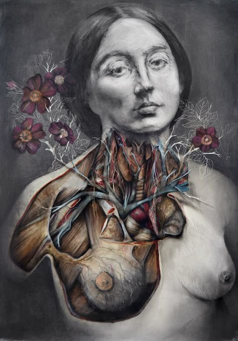 Anatomical illustrations become twisted like fables in a new series of works by Italian painter Nunzio Paci. Nunzio Paci, Gcse Art Sketchbook, Human Anatomy Art, Medical Art, Unusual Art, Ap Art, A Level Art, Wild Rose, Anatomy Art