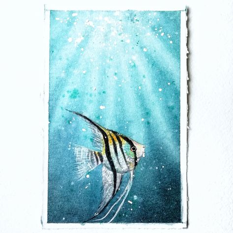 Underwater angel fish watercolor art Angel Fish Painting, Watercolor Fish Painting, Fish Watercolor, Watercolor Fish, Angel Fish, Fish Painting, Watercolor Inspiration, Watercolor Art, Angel