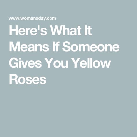 Here's What It Means If Someone Gives You Yellow Roses Meaning Of Yellow, Yellow Rose Meaning, Rose Meaning, Drake University, Dozen Roses, Meeting Someone New, Life Path Number, Keep Dreaming, Flower Meanings