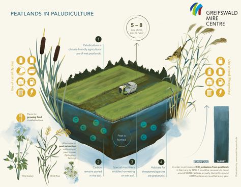 Drainage-based agriculture on peatland causes enormous economic and environmental losses through CO2 emissions (~25 % of EU agricultural emissions from 3 % of EU […] Soil Degradation, Loss Of Biodiversity, Peat Soil, Agricultural Land, Water Pollution, Rare Species, Water Level, High Water, Text Art