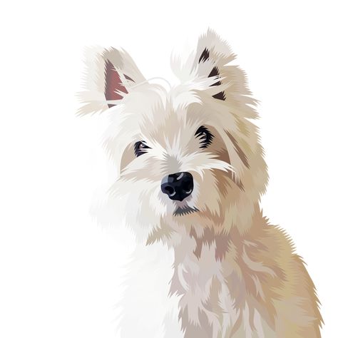 Digitized Vega!! (Westie portrait) Westie Tattoo, Westie Drawing, Westie Line Art, Westie Art, Westie Watercolor, Westie Dogs Drawing, Westie Painting, Westie Illustration, Westie Watercolor Painting