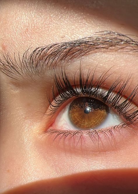 #longlashes #pretty #eye #brown #aesthetic #eyepics #goodquality #sun #lashserum # perfect #skin #natural #beautifuleye #beautiful Brown Eyes Long Lashes, Light Brown Eyes, Brown Eyes Aesthetic, Forgotten Memories, Eye Pictures, Thicker Eyelashes, Lash Serum, Dark Brown Eyes, Pretty Lights