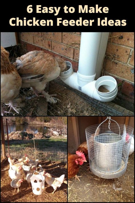 DIY Chicken Feeder Ideas: From recycled materials to easy-to-find supplies, these ideas will make feeding your chickens a breeze! Diy Chicken Feeder Ideas, Waterproof Chicken Feeder, Chicken Feeding Trough, Watering Chickens Ideas, Best Chicken Feeders, Diy Chicken Accessories, Chicken Accessories Diy, Chicken Feeders Diy No Waste, Chicken Coop Feeder Ideas