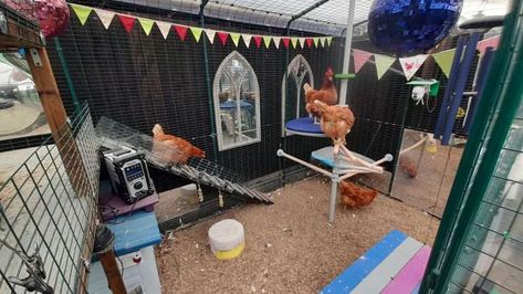 Chicken boredom busters: keeping your birds hentertained Chicken Boredom Buster, Chicken Boredom, Old Wood Ladder, Chicken Tunnels, Easy Chicken Coop, Fruit Kebabs, Play Tunnel, Treat Dispenser, Diy Chicken