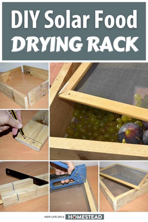 Learn how to easily make a wooden sun drying rack to dehydrate your fruits and veggies for free. Step by step photos and instructions inside. #DIY #homesteading Diy Homesteading, Canning Jar Labels, Diy Rack, Wooden Sun, Chicken Feeders, Homemade Furniture, Outdoor Stove, Sustainable Garden, Diy Solar