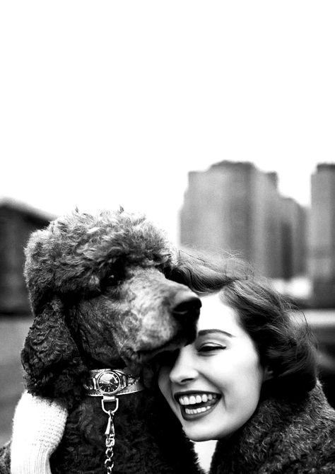 By Yael Joel, 1953. Poodle Cuts, Puppy Cut, Vintage Poodle, Female Profile, Miniature Poodle, Swiss Watch, American Kennel Club, Standard Poodle, Dog Obedience