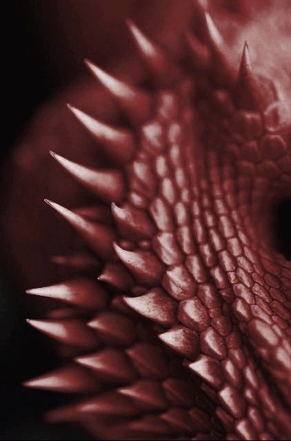 Red Dragon Scales Aesthetic, Red Scales Aesthetic, Dragon Aesthetic Red, Pink Dragon Aesthetic, Red Dragon Aesthetic, House Of The Dragon Aesthetic, Red Scales, Daeron Targaryen, Blood Dragon