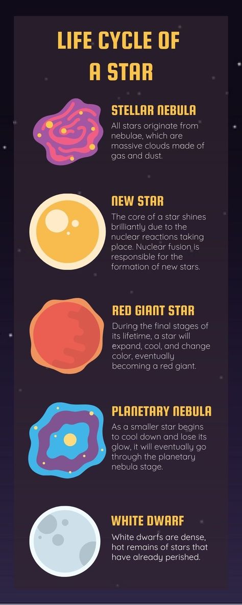 Star Life Cycle Project, Solar System On Chart Paper, Astronomy For Beginners, Life Cycle Of A Star Project Ideas, Astronomy Science Fair Projects, Life Cycle Of Stars, Astronomy Drawing, Astronomy Journal, Astro Physics