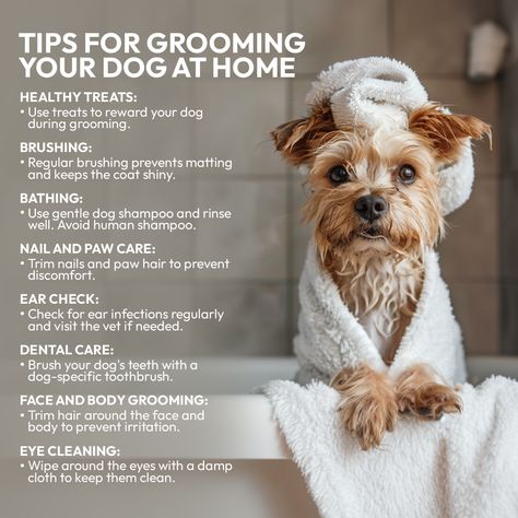 Tips and Tricks  . . Follow for more helpful content . . #porp #doglife #cutepuppies #doggo #dogsofinstagram #hacks Grooming Station, Content Examples, Dog Grooming Diy, Pet Grooming Business, Grooming Hacks, Puppy Checklist, Paw Care, Grooming Business, Dog House Bed