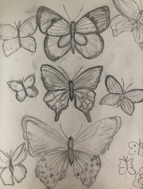 Butterflies Drawing, Color Drawing Art, Animation Art Sketches, Indie Art, Beauty Art Drawings, Butterfly Drawing, Pretty Drawings, Art Diary, Art Drawings For Kids