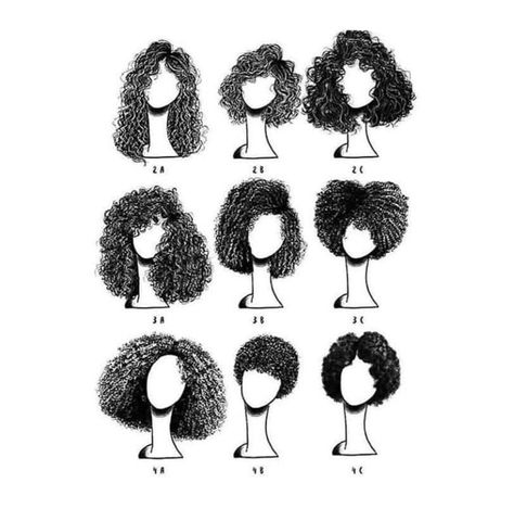 3c Curly Hair, 3c Hair, Hair Sketch, Different Hair, Curly Hair Inspiration, Curly Hair Routine, Curly Hair Care, Hair Reference, Hair Curly