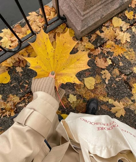 Fall Mood Board, Fall Inspo, Best Seasons, We Fall In Love, Autumn Cozy, Autumn Aesthetic, Girl Falling, Photo Instagram, Falling Down