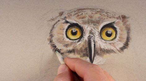 Owl Colored Pencil Drawing, Owl Pastel Drawing, Draw An Owl, Crayons Pastel, Watercolor Pencil Art, Soft Pastels Drawing, Owl Artwork, Pencil Drawings Of Animals, Draw Animals