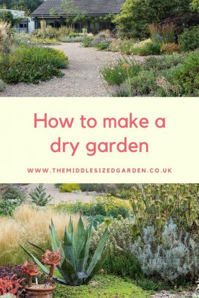 Dry Garden Design, Seaside Gardens, Gravel Gardens, Gardens Backyard, Garden Ideas Uk, Low Maintenance Garden Design, Mediterranean Garden Design, Garden Landscaping Ideas, Pinterest Predicts