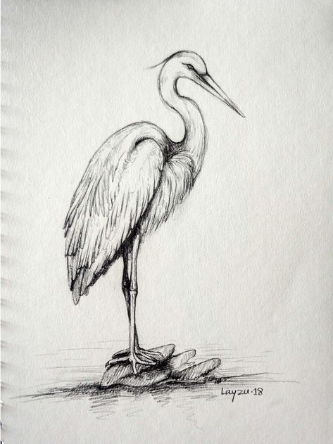 Pencil Sketches Of Animals, Bird Pencil Drawing, Easy Pencil Drawings, Drawing Heart, Pencil Drawings Of Animals, Bird Sketch, Nature Art Drawings, Animal Drawings Sketches, Nature Sketch