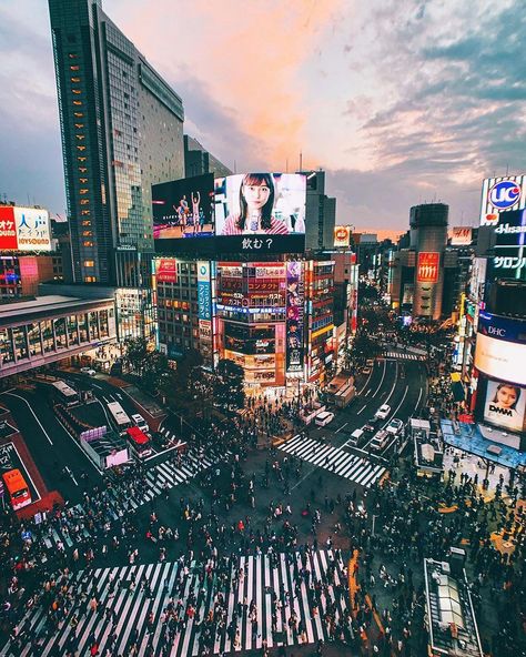 A sunset view of Shibuya Crossing  #Shibuya #Tokyo #Japan #ShibuyaCrossing Tokyo Rooftop, Tokyo Things To Do, Shibuya Station, Shibuya Japan, Tokyo Aesthetic, Photos Of Japan, Shibuya Crossing, Japan Map, Japan Guide