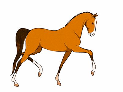 Beautiful Animated Horse Gifs at Best Animations Sketching Horses, Trotting Horse, Horse Animation, Birthday Gifs, Animated Clipart, Horse Cartoon, Different Moods, Animation Sketches, Horse Silhouette