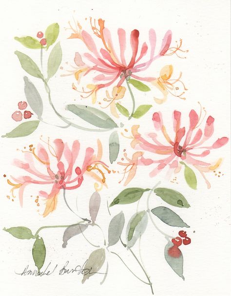 Honeysuckle Watercolor Honeysuckle Watercolor Painting, Watercolor Honeysuckle, Honeysuckle Painting, Honeysuckle Watercolor, Honeysuckle Drawing, Dogwood Painting, Honeysuckle Tattoo, Honeysuckle Cottage, Honeysuckle Flower