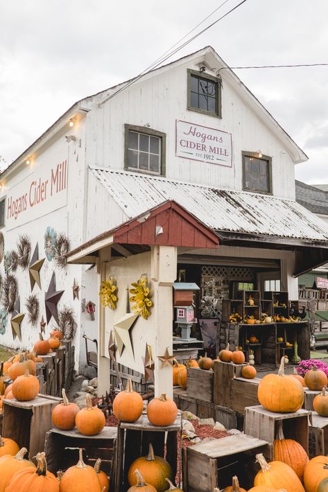 Hogan’s Cider Mill, Burlington CT | Connecticut Charm » Live Lovely Photography #connecticutCharm #connecticuttravel #cidermill #CTcidermill #newengland #newenglandblog #newenglandblogger #ctblogger #newenglandliving #autumn #autumninnewengland Hogans Cider Mill, Cider Mill Aesthetic, New Haven Connecticut Aesthetic, Boyfriend Group, Connecticut Aesthetic, Things To Do In Connecticut, Cider Tasting, Trip Friends, Connecticut Travel