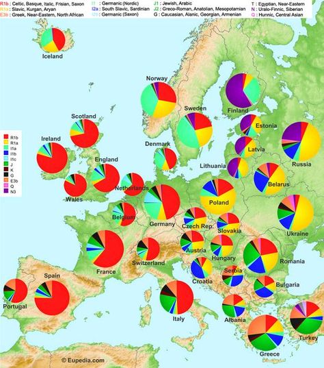 genetic map of Europe Genealogy Map, Dna Genealogy, Family Research, Ancestry Genealogy, Genealogy Research, Europe Map, Family Genealogy, European History, Dna Test