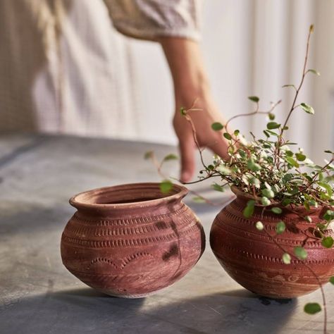 Mala Terracotta Pot Indoor Ferns, Window Ledge, Terracotta Plant Pots, Garden Pottery, Terracotta Pot, Nature Garden, Honey Pot, Comfort And Joy, Hanging Rail