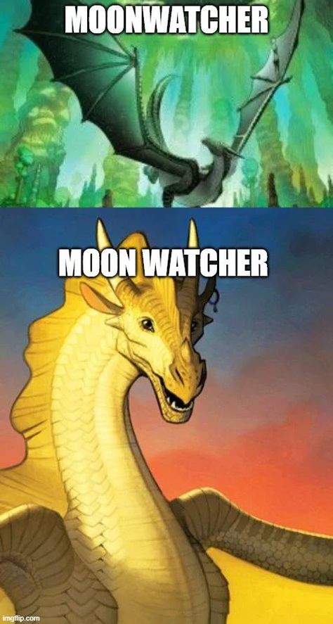 Moonwatcher X Qibli, Wings Of Fire Logo, Clay X Peril Wof, Wings Of Fire Memes Hilarious, Wof Memes Funny, Wings Of Fire Funny, Wings Of Fire Ships, Wings Of Fire Fanart, Jing Y Jang