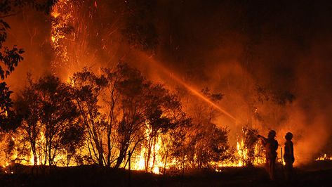 South Sumatra, Jonathan Safran Foer, Fire Fans, Amazon Rainforest, Forest Fire, Carbon Dioxide, Southeast Asia, Natural World, Carbon Emissions