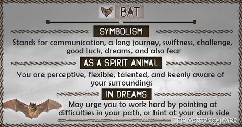 Bat Symbolism Spirit Animal Dream Spirit Animal Meaning, Animal Meanings, Spiritual Animal, Animal Spirit Guides, Animal Medicine, Power Animal, Animal Symbolism, Dream Symbols, Travel Humor