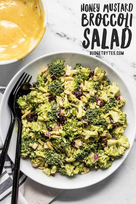 Honey Mustard Broccoli Salad, Broccoli Salad With Honey Mustard, Honey Mustard Broccoli, Salad Honey Mustard, Mustard Broccoli, Honey Mustard Salad, Creamy Honey Mustard, Creamy Honey, Summer Side Dish