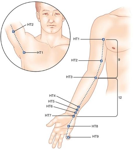 Heart Meridian, Acupuncture Charts, Traditional Chinese Medicine Acupuncture, Meridian Acupuncture, Pressure Point Therapy, Yoga Teacher Resources, Meridian Points, Chi Kung, Acupressure Points