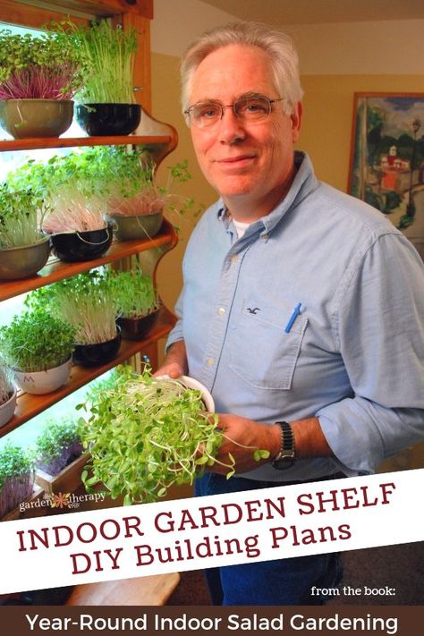 Year Round Indoor Salad Gardening, Microgreens Garden, Garden Shelf, Indoor Plant Shelves, Indoor Vegetables, Garden Therapy, Homegrown Food, Growing Microgreens, Garden Shelves