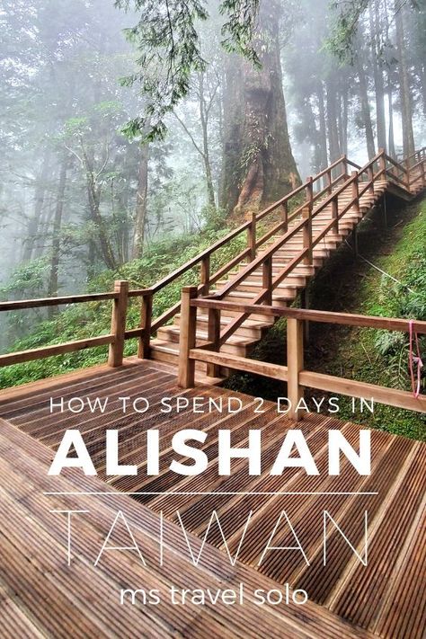 Hiking Itinerary, Alishan Taiwan, Taiwan Itinerary, Solo Hiking, Taiwan Travel, Hiking Guide, Travel Destinations Asia, Kaohsiung, Asia Travel Guide