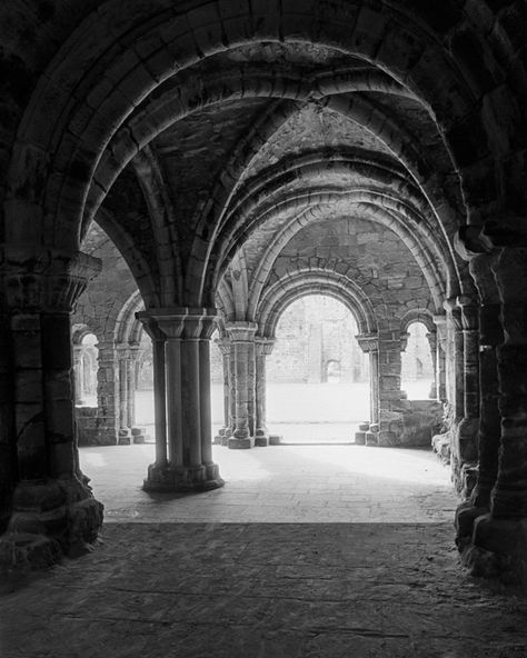 Kirkstall Abbey, English Castles, Architectural Art, Visiting England, Yorkshire Dales, Season Of The Witch, Architecture Exterior, Gothic Architecture, England Travel