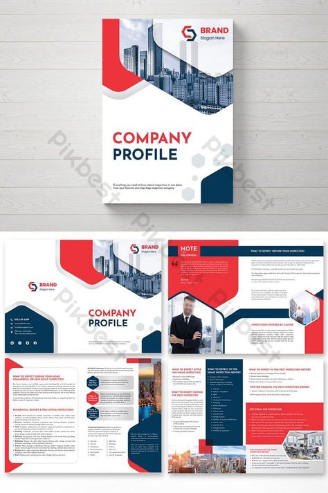 Digital Marketing Brochure Design, Company Profile Presentation Design, Company Report Design, Profile Company Design, Company Profile Design Templates Free, Business Profile Templates, Company Profile Design Creative, Business Profile Design, Corporate Profile Design