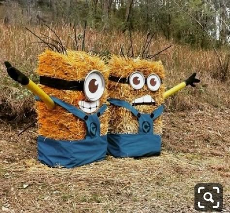 Grow Ginger Indoors, Hay Bale Decorations, Hay Bale Art, Lego Superheroes, Scarecrow Decorations, Diy Minions, Scarecrow Festival, Make A Scarecrow, Diy Scarecrow