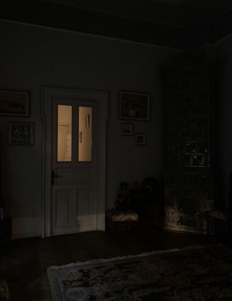 house dark academia sunset door light warm cozy House Dark Academia, Victorian Aesthetic Bedroom, Dark Victorian Aesthetic, Front Door Inside, Door Aesthetic, Eggs And Soldiers, Dark Doors, Apartment Door, Door Light