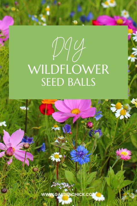 Growing Wildflower Gardens One Seed Ball at a Time – Garden Chick Seed Balls, Wildflower Garden, Wildflower Seeds, Wild Flowers, Seeds