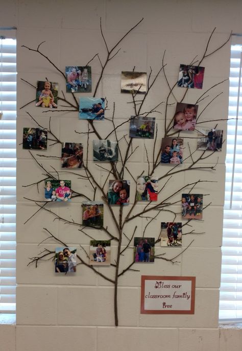 Kindergarten Family Picture Wall, Family Picture Wall Ideas Preschool, Family Tree Art For Kids Classroom, Preschool Family Board Ideas, Daycare Family Photo Wall, Toddler Family Tree Project, Friends And Family Board Classroom, Class Picture Ideas Group Preschool, Family Wall Pictures Ideas Classroom