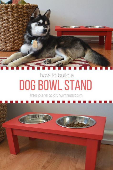 Dog Bowl Stand Diy, Dog Bowls Diy, Diy Dog Bowl Stand, Diy Dog Bowl, Dog Food Bowl Stand, Guard Dog Training, Chat Diy, Dogs Diy Projects, Diy Dog Food